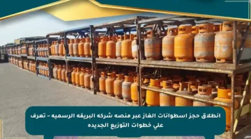 انطلاق حجز اسطوانات الغاز عبر منصة شركة البريقة الرسمية – تعرف على خطوات التوزيع الجديدة